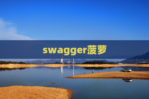 swagger菠萝 swagger菠萝